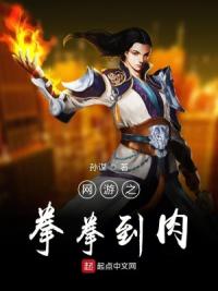 网游之拳拳到肉